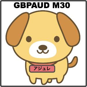 アジュレ GBPAUD M30 Produced by Umbrella 自動売買