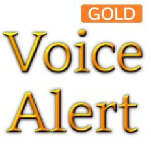 VoiceAlertインジケーター　GOLD