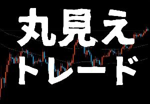 丸見えトレード