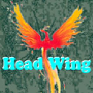 Head Wing 1.06D　(デモ版2013.6.30まで有効)