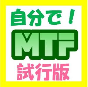 自分で！ＭＴＦ（試行版） Indicators/E-books