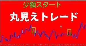 丸見えトレード 少額スタート