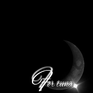 悠聖のテクニカル分析講座！