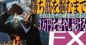 【FX動画】【ガチのFX研究費】勝ち筋を掴むまで3万円を燃やし続ける Indicators/E-books