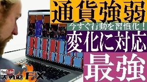 【FX動画】【FXの王道】通貨強弱が最強！ライントレードだけでは勝てない Indicators/E-books