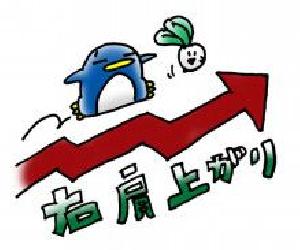 Trend display EA Auto Trading