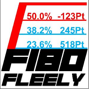 このFIBO縦横無尽【Fibo Fleely】