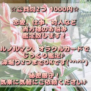 ルノルマンカードとオラクルカードで貴方様の不安や悩みを占い・鑑定いたします♪ Indicators/E-books