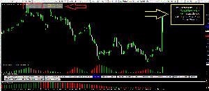 FXの根本的本質であるトレンド方向とパワーを瞬時に判定し高精度かつ安定したトレードが可能な新発想のトレードストラテジー！