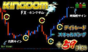 短時間で稼げるスキャルピングとデイトレードのFX 投資法 「KINGDOM」