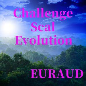 ChallengeScalEvolution EURAUD 自動売買