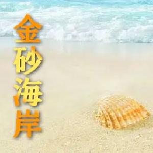 金砂海岸-ドル円専用版 Auto Trading