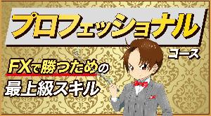 プロフェッショナルコース Indicators/E-books