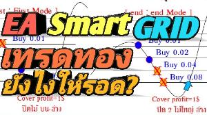 EA Smart Hedging Grid V1.0 ซื้อขายอัตโนมัติ