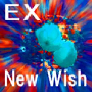 New Wish EX