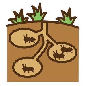 市場丸裸 EURUSD ≪限定≫キャンペーン版 Indicators/E-books