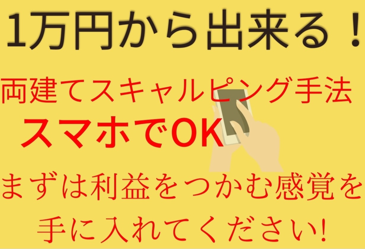 １万円から出来る！両建てスキャルピング手法 Indicators/E-books