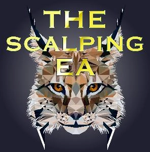 THE SCALPING EA