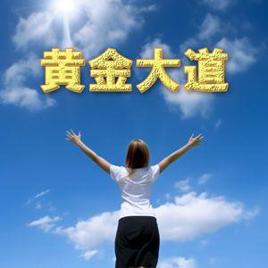 黄金大道-ドル円(CDJ) Auto Trading