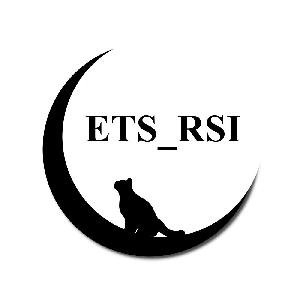 ETS_RSI インジケーター・電子書籍