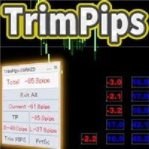 TrimPips MT5 Version Indicators/E-books