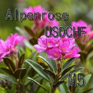 Alpenrose