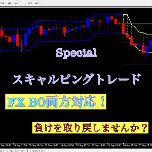 FX BO両方対応！スペシャルスキャルピング！ Indicators/E-books