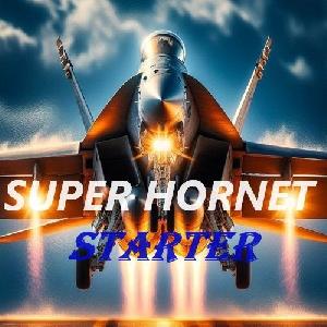 SUPER_HORNET_STARTER Auto Trading