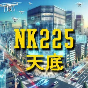 天底根こそぎ日経225インジケータ Indicators/E-books