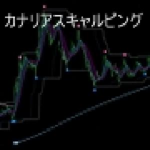 Canary bird Scalping(カナリアスキャルピング）　/ひいらぎのFX トレーディング手法＋オリジナルインジケータ Indicators/E-books