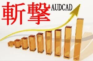 斬撃 AUDCAD