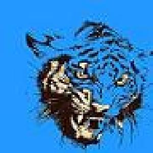 金虎式・３ステップトレード Indicators/E-books