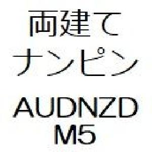 両建てナンピン　AUDNZD　M5
