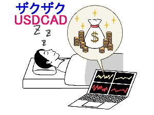 ザクザク USDCAD
