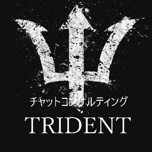 TRIDENTチャットコンサルティングサービス【購入者以外もOK】+完全マンツーマンサポート+１時間フルコミット♪ Indicators/E-books