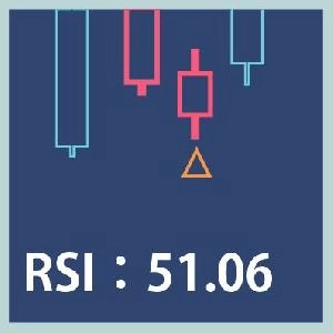 認定トレードマイスター監修！RSIデジタルインサイト+ 特典「相場に対する考え方」 Indicators/E-books