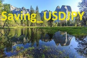 Saving_USDJPY Auto Trading
