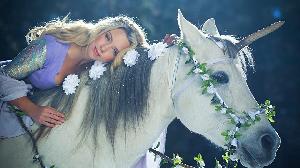 MシステムUSDJPY版（複利） MT5