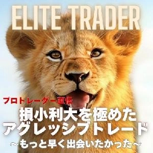 『ELITE TRADER』【プロトレーダー直伝】「損小利大を極めたアグレッシブトレード～もっと早く出会いたかった～」 インジケーター・電子書籍