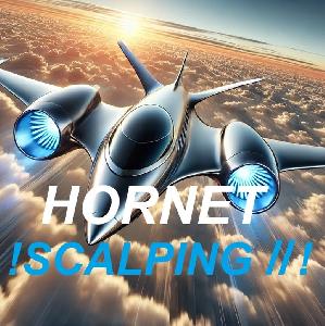 HORNET_SCALPINGⅡ