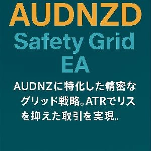 AUDNZD Safety Grid EA