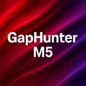 GapHunter M5（ギャップハンター　M5） 自動売買