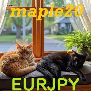 Maple20EURJPY Auto Trading
