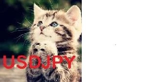 Daijunkan USDJPY Version Investment Navi+