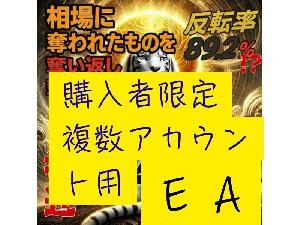 白虎EA購入者限定【複数アカウント用】 Indicators/E-books