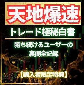 天地爆速トレード極秘白書〜勝ち続けるユーザーの裏側全記録