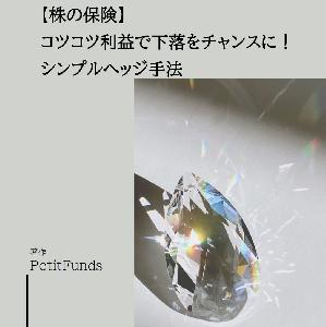 【株保険】シンプルヘッジ手法 Indicators/E-books