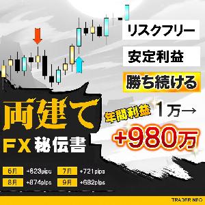 両建てFX秘伝書 Indicators/E-books