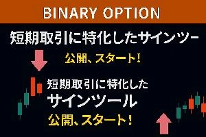 バイナリー15秒、30秒、1分判定用のツールの機能や結果、データ紹介していきます。 投資ナビ＋