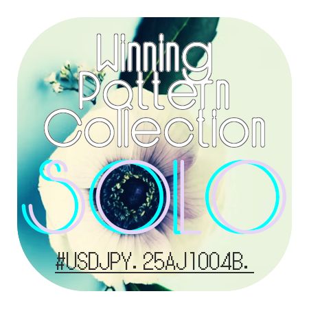 WPC_SOLO_25AJ1004B_UJ_Ver1